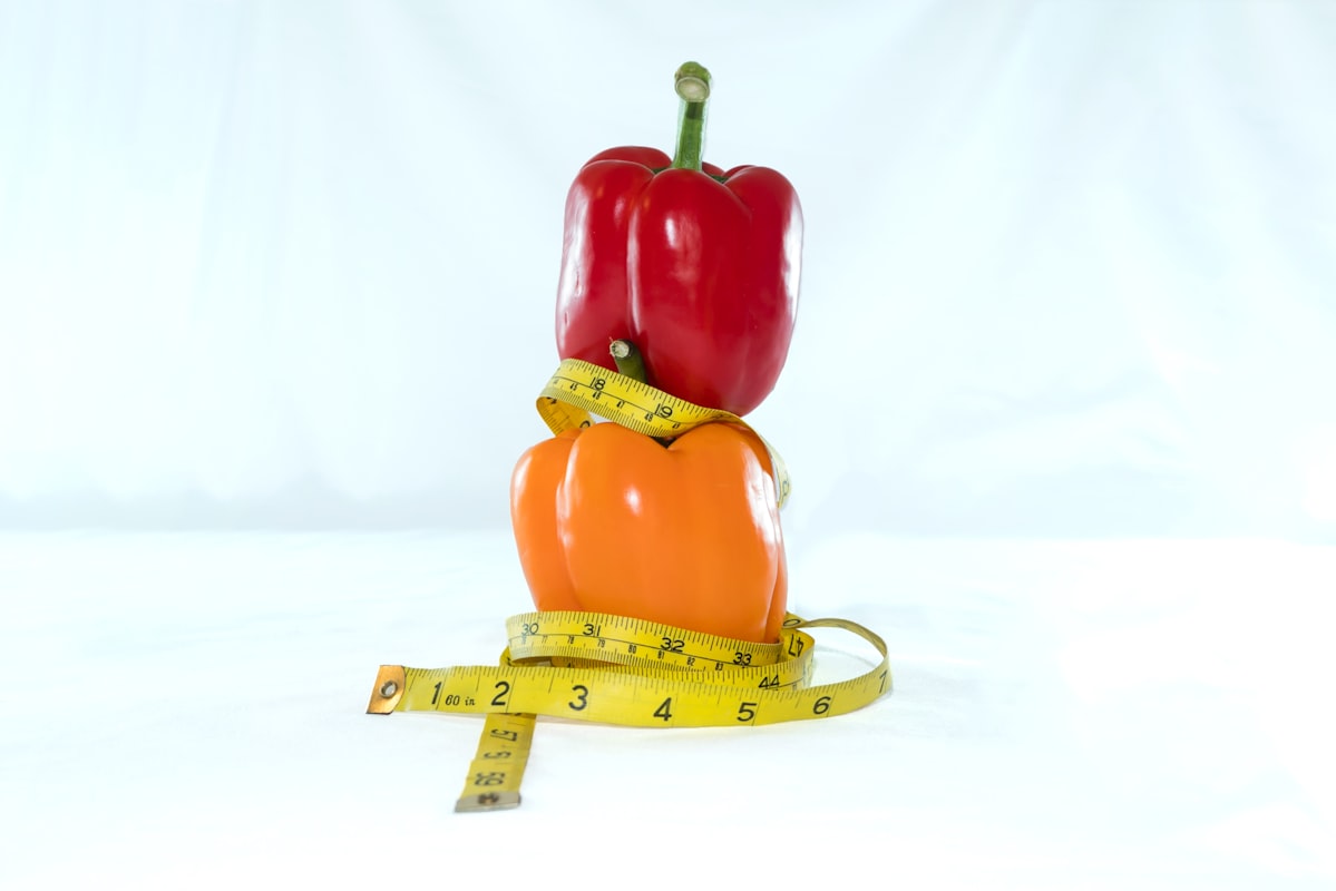 Nutrition counseling consultation